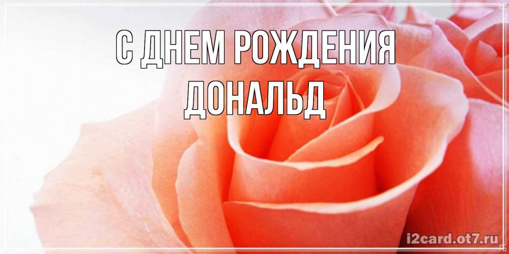 Открытка на каждый день с именем, Дональд С днем рождения розы для поздравления с днем рождения Прикольная открытка с пожеланием онлайн скачать бесплатно 