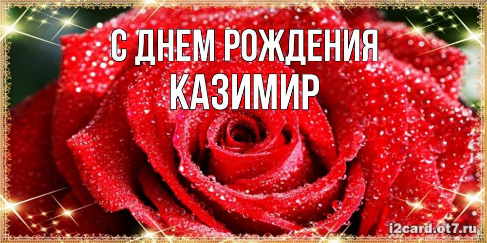 Открытка на каждый день с именем, Казимир С днем рождения роса и роза. открытка с красивой розой Прикольная открытка с пожеланием онлайн скачать бесплатно 