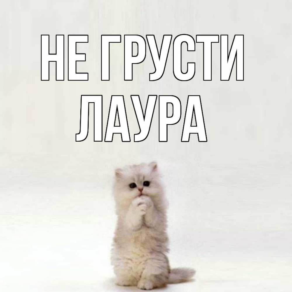 Открытка на каждый день с именем, Лаура Не грусти грустный кот Прикольная открытка с пожеланием онлайн скачать бесплатно 