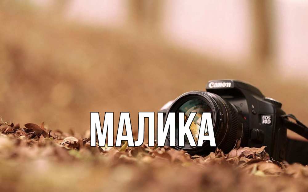 Открытка на каждый день с именем, Малика Главная с днем фотографа Прикольная открытка с пожеланием онлайн скачать бесплатно 