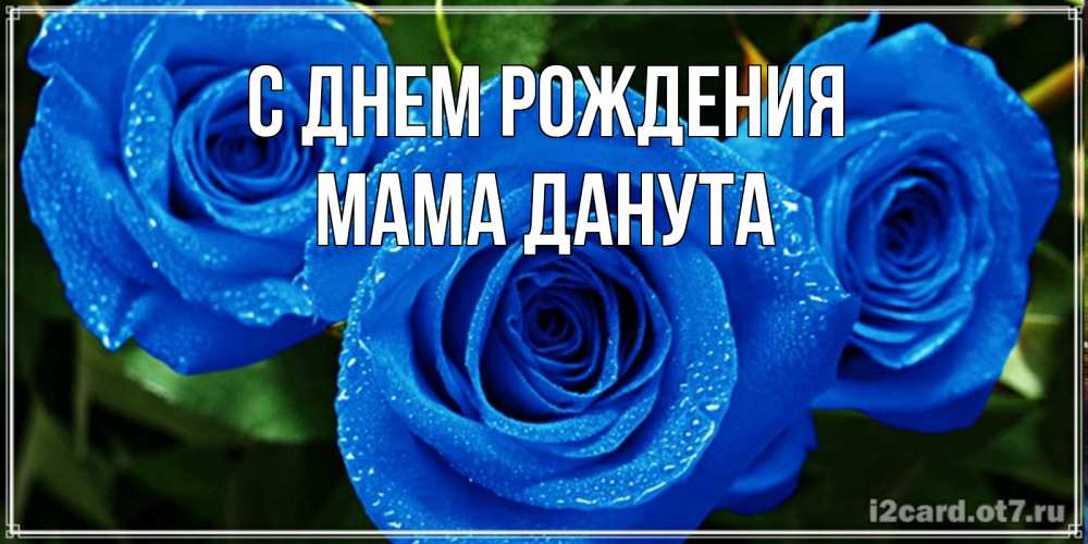 Открытка на каждый день с именем, Мама-Данута С днем рождения розы с синим цветом Прикольная открытка с пожеланием онлайн скачать бесплатно 