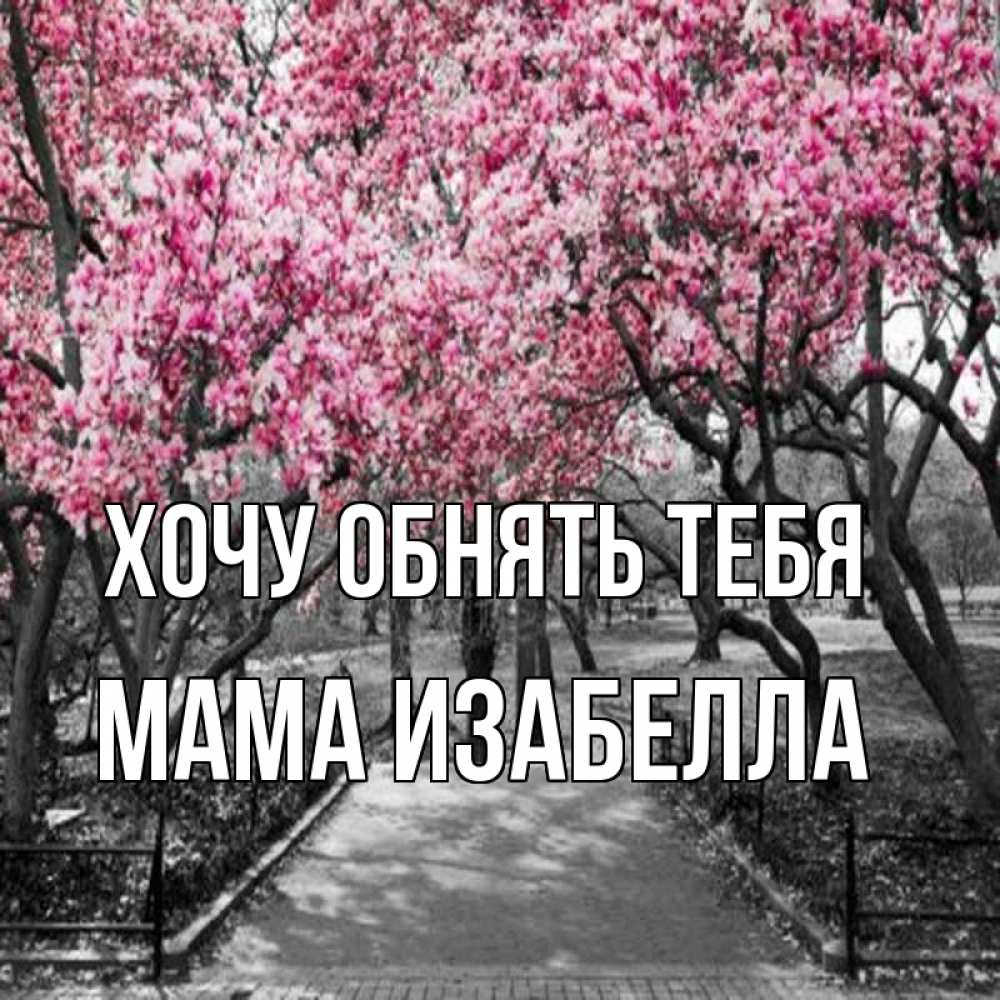 Открытка на каждый день с именем, Мама-Изабелла Хочу обнять тебя обработанное фото Прикольная открытка с пожеланием онлайн скачать бесплатно 