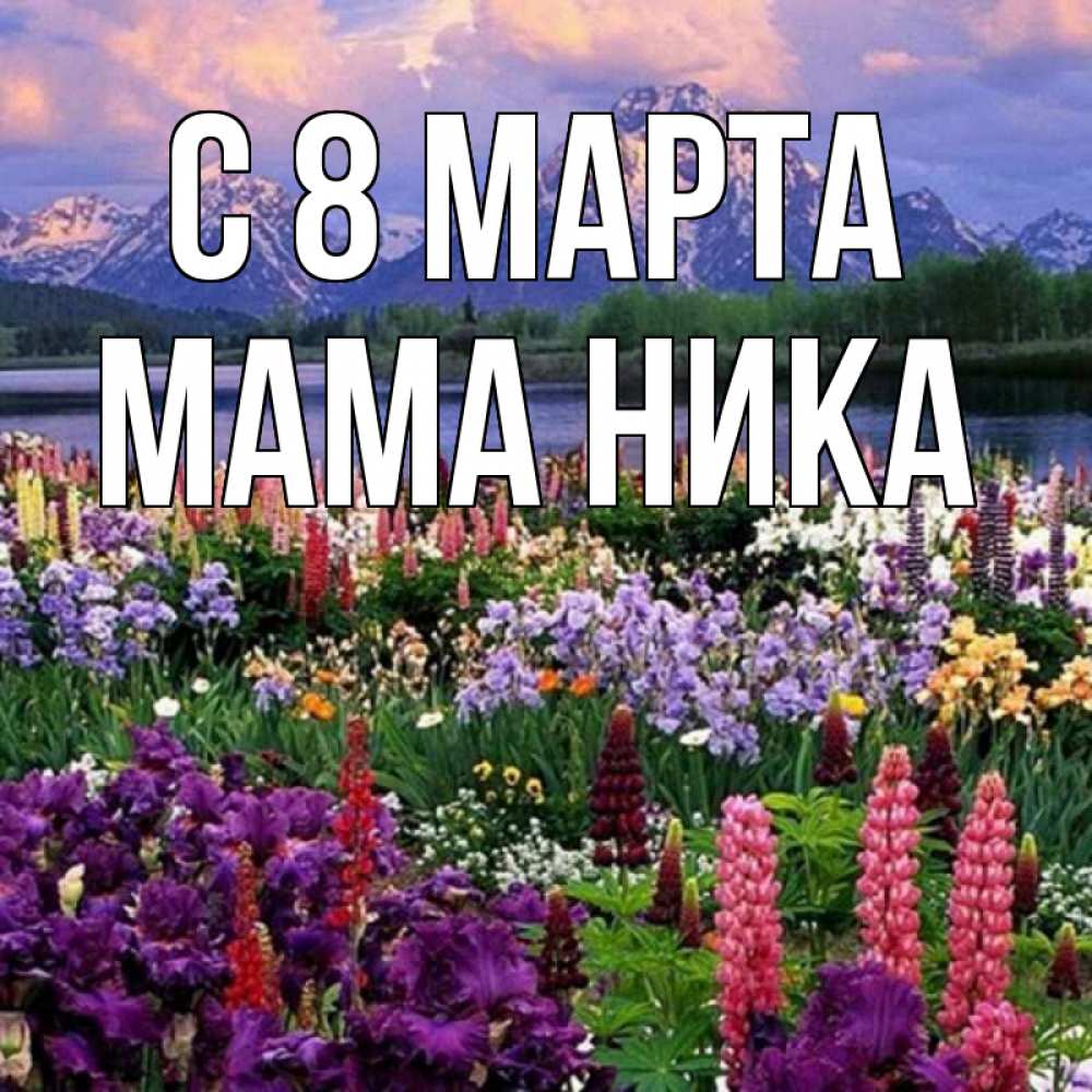 Открытка на каждый день с именем, Мама-Ника С 8 МАРТА международный женский день Прикольная открытка с пожеланием онлайн скачать бесплатно 