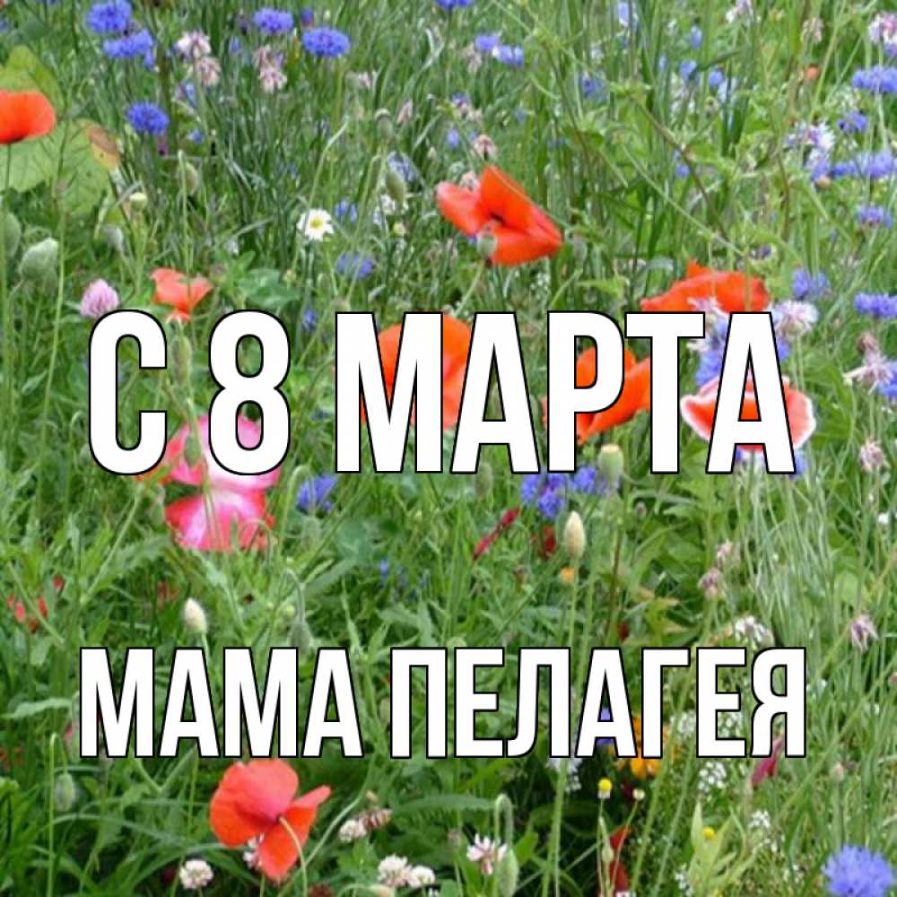 Открытка на каждый день с именем, Мама-Пелагея С 8 марта международный женский день 4 Прикольная открытка с пожеланием онлайн скачать бесплатно 