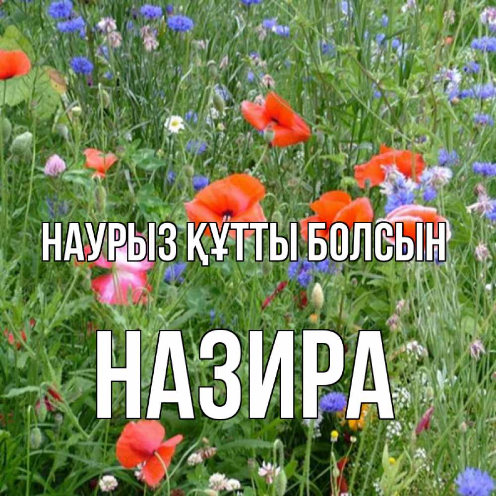 Открытка на каждый день с именем, Назира Наурыз құтты болсын наурыз  4 Прикольная открытка с пожеланием онлайн скачать бесплатно 