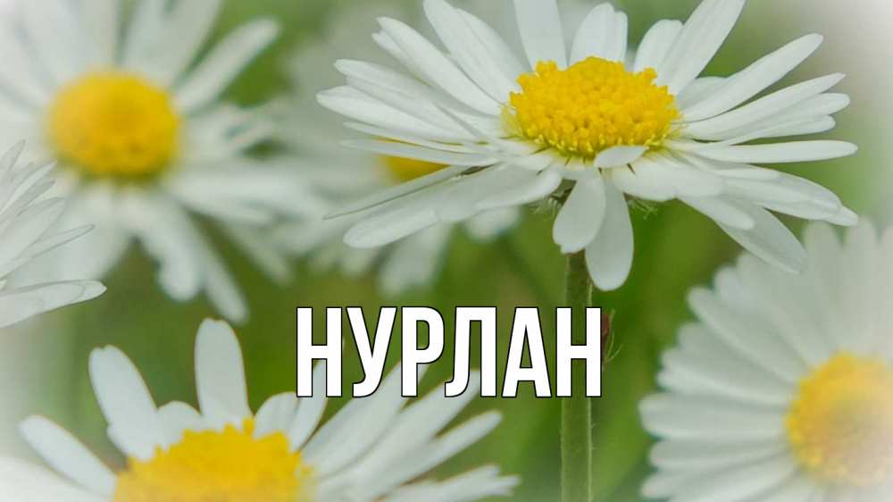 Открытка на каждый день с именем, Нурлан Главная с днем семьи  1 Прикольная открытка с пожеланием онлайн скачать бесплатно 