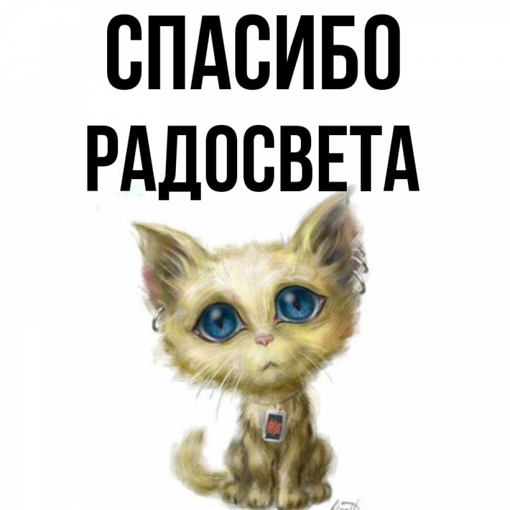 Открытка на каждый день с именем, Радосвета Спасибо рисованный кот благодарит вас Прикольная открытка с пожеланием онлайн скачать бесплатно 