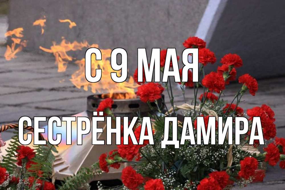 Открытка на каждый день с именем, Сестрёнка-Дамира С 9 мая 9 мая Прикольная открытка с пожеланием онлайн скачать бесплатно 
