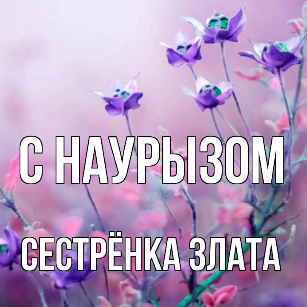 Открытка на каждый день с именем, Сестрёнка-Злата С наурызом международный женский день 2 Прикольная открытка с пожеланием онлайн скачать бесплатно 
