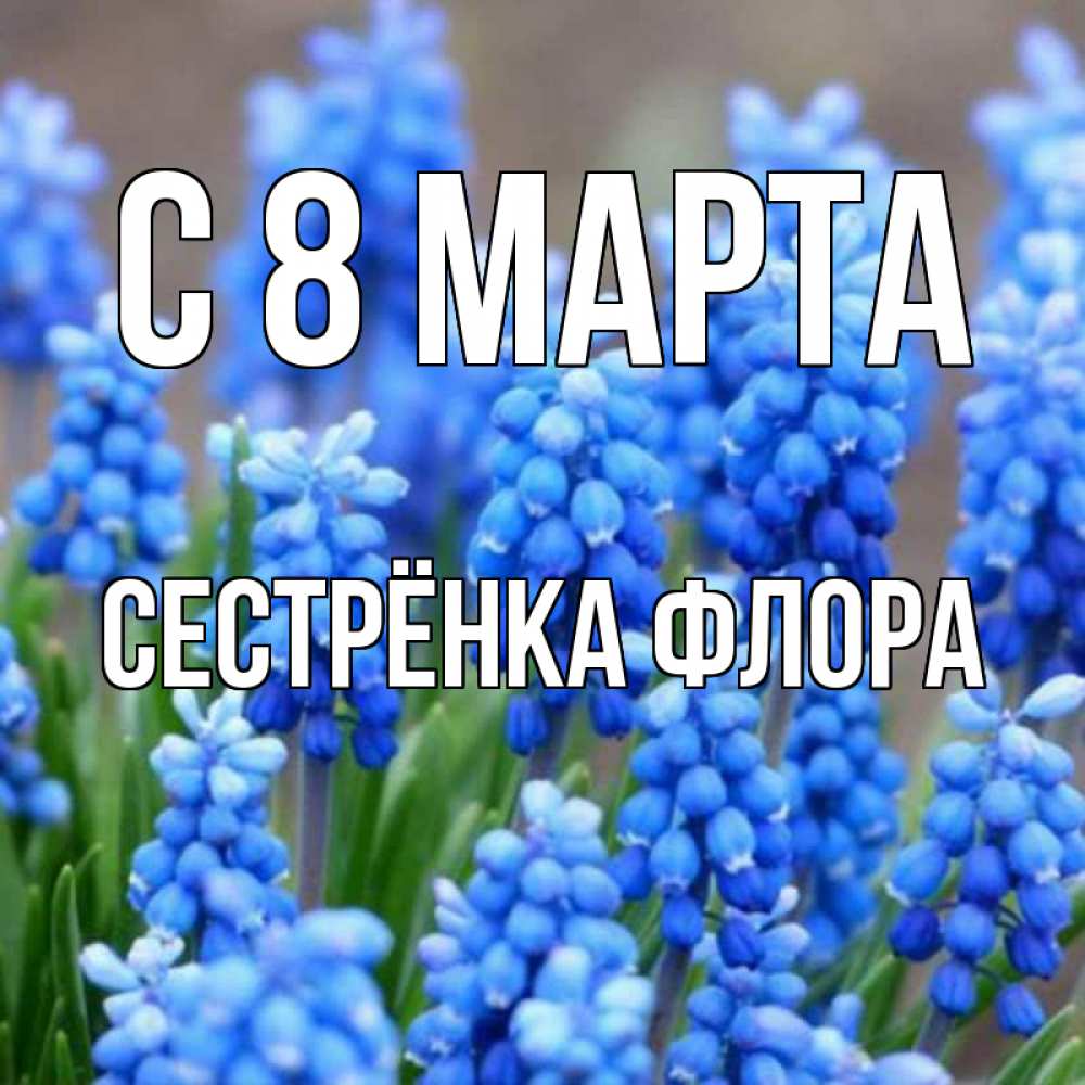 Открытка на каждый день с именем, Сестрёнка-Флора С 8 МАРТА Поздравительная открытка для женщин с цветами на праздничную дату Прикольная открытка с пожеланием онлайн скачать бесплатно 