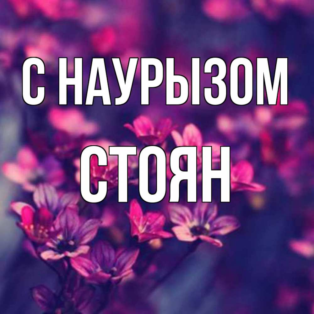 Открытка на каждый день с именем, Стоян С наурызом небольшие цветы 1 Прикольная открытка с пожеланием онлайн скачать бесплатно 