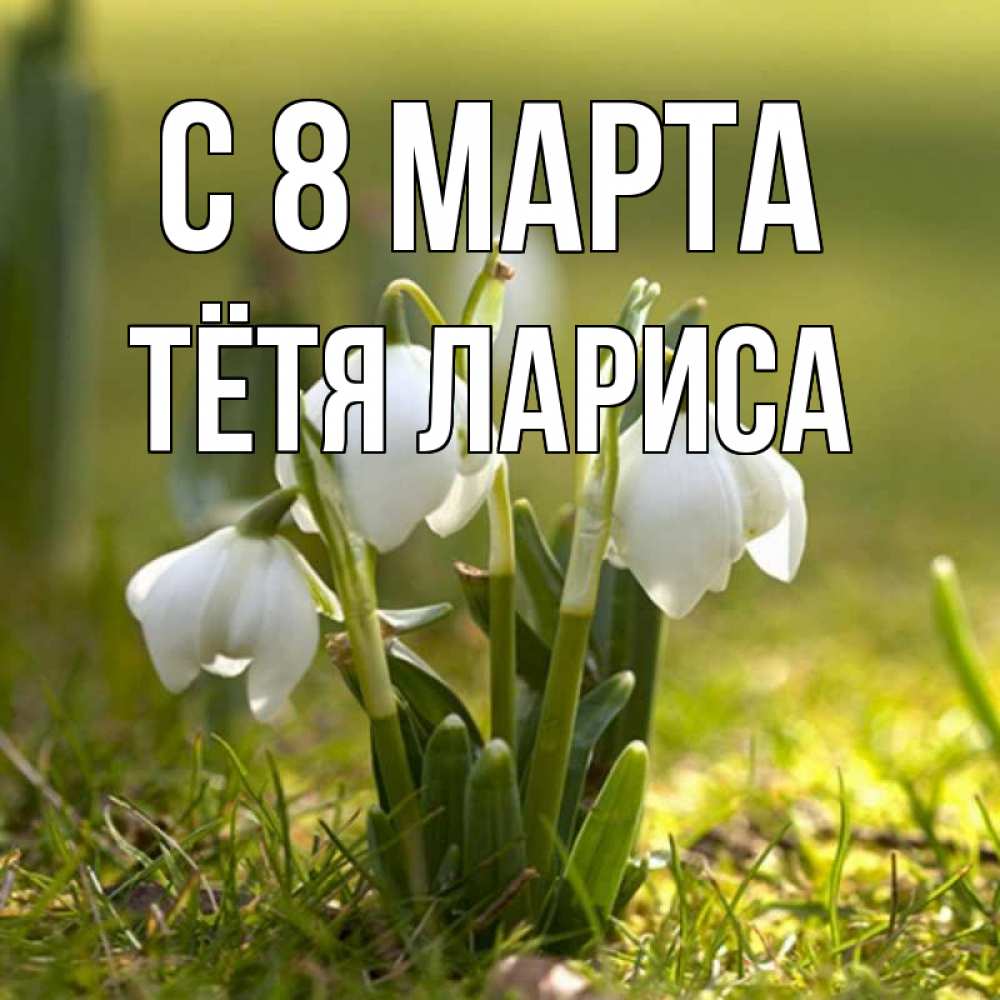 Открытка на каждый день с именем, Тётя-Лариса С 8 марта ранние цветы 2 Прикольная открытка с пожеланием онлайн скачать бесплатно 