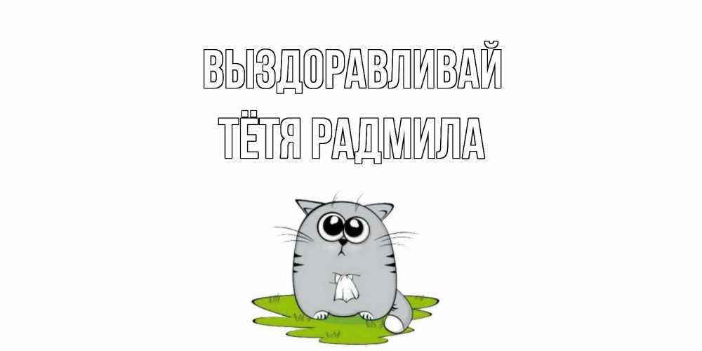 Открытка на каждый день с именем, Тётя-Радмила Выздоравливай кот и открытки про выздоровление Прикольная открытка с пожеланием онлайн скачать бесплатно 