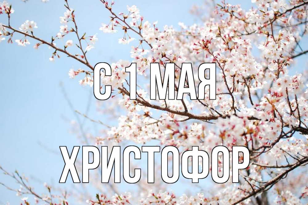 Открытка на каждый день с именем, Христофор С 1 мая С 1 мая Прикольная открытка с пожеланием онлайн скачать бесплатно 