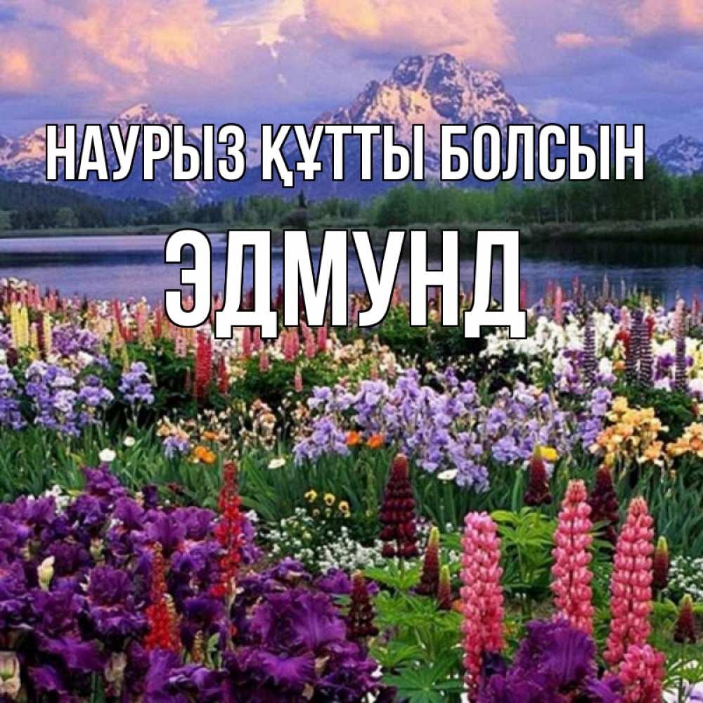 Открытка на каждый день с именем, Эдмунд Наурыз құтты болсын наурыз Прикольная открытка с пожеланием онлайн скачать бесплатно 