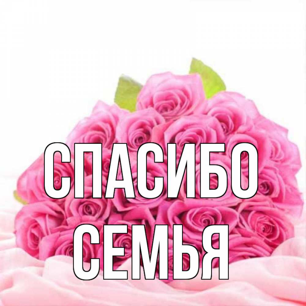 сухой фото спасибо семья профиль скаммера одна
