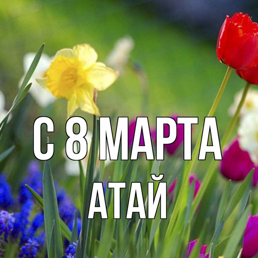 Картинка С 8 МАРТА, Атай