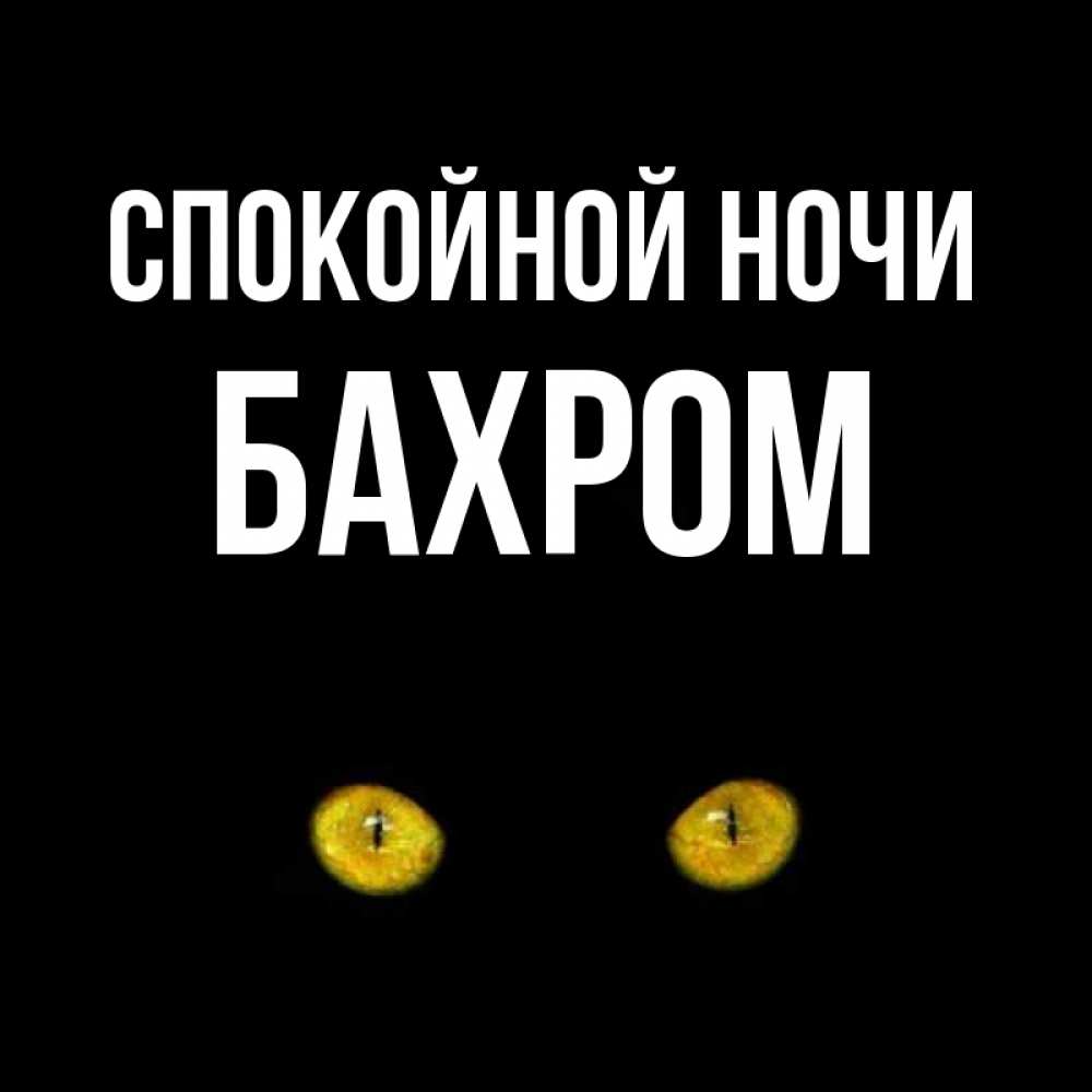 Открытка на каждый день с именем, БАХРОМ Спокойной ночи сладких снов бесстрашный мой дружочек Прикольная открытка с пожеланием онлайн скачать бесплатно 
