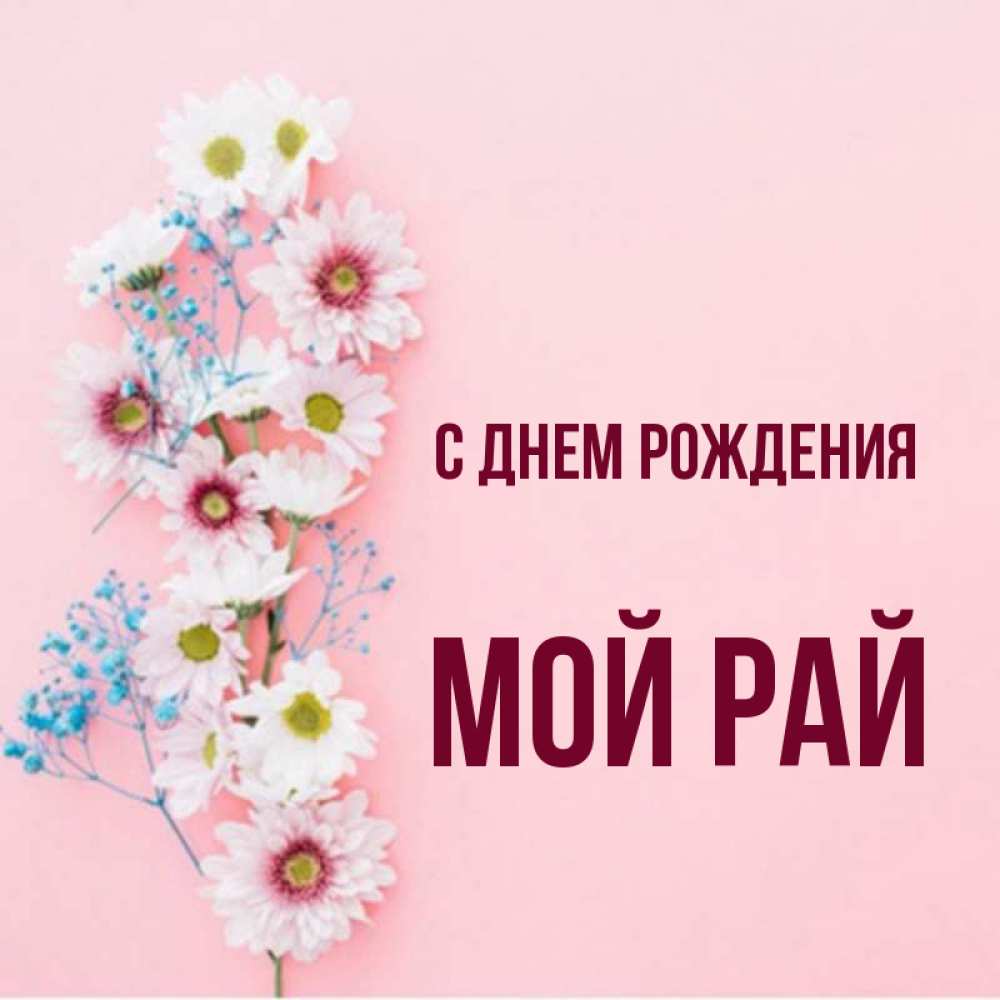 Открытка на каждый день с именем, Мой-рай С днем рождения Родная моя с днем рождения тебя картинка с цветами белыми и голубыми Прикольная открытка с пожеланием онлайн скачать бесплатно 