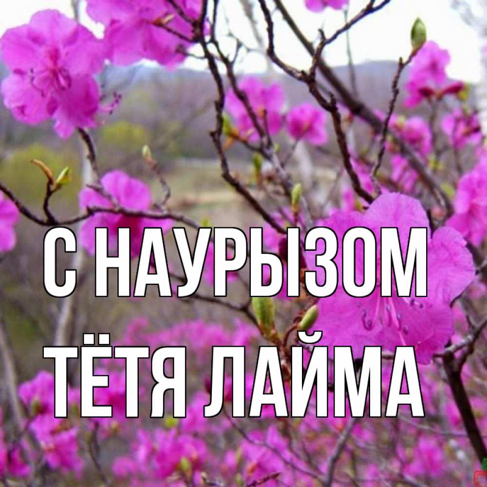 Открытка на каждый день с именем, Тётя-Лайма С наурызом праздник весны наурыз Прикольная открытка с пожеланием онлайн скачать бесплатно 