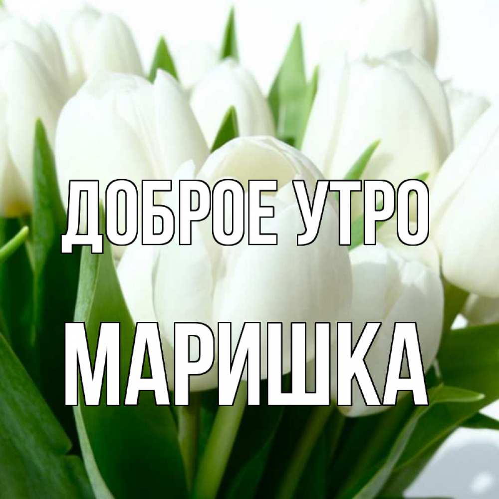 Доброе утро маришка картинки