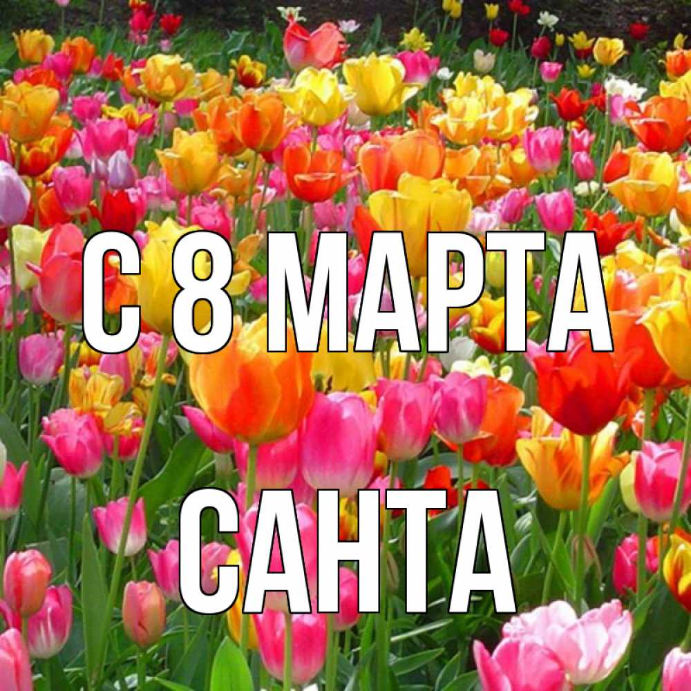 Картинка С 8 марта, Санта