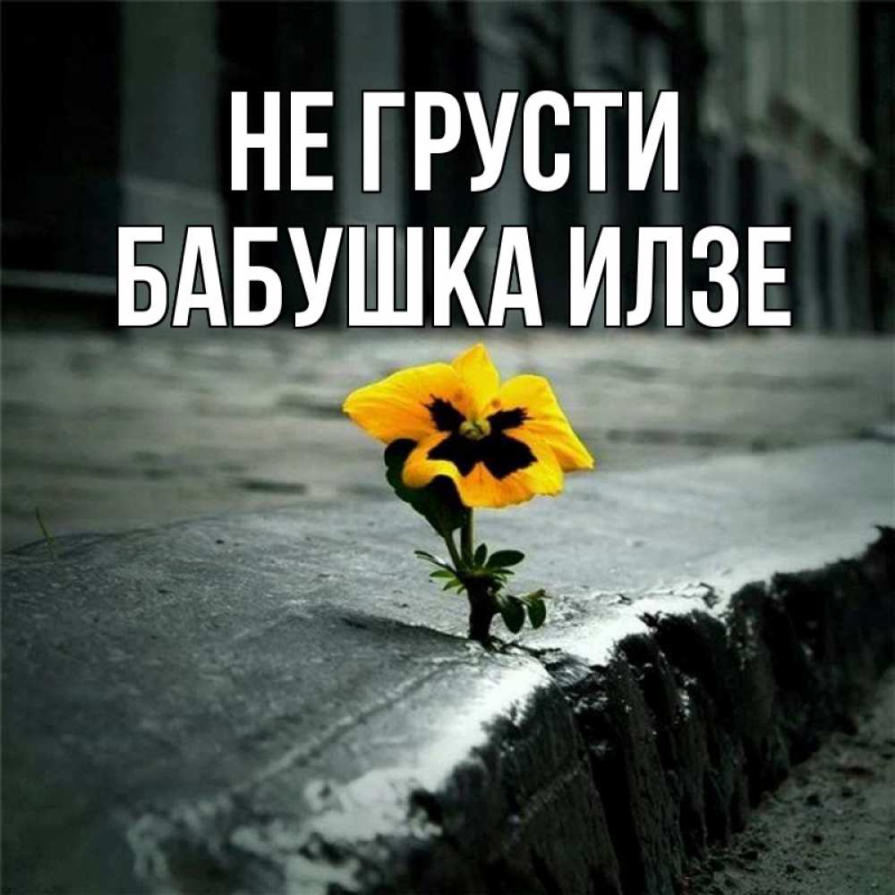 Открытка на каждый день с именем, Бабушка-Илзе Не грусти не сдавайся Прикольная открытка с пожеланием онлайн скачать бесплатно 