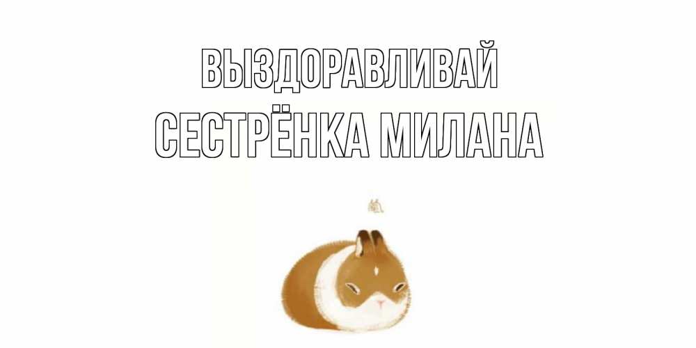 Открытка на каждый день с именем, Сестрёнка-Милана Выздоравливай морская свинка на открытке с пожеланиями не болеть Прикольная открытка с пожеланием онлайн скачать бесплатно 