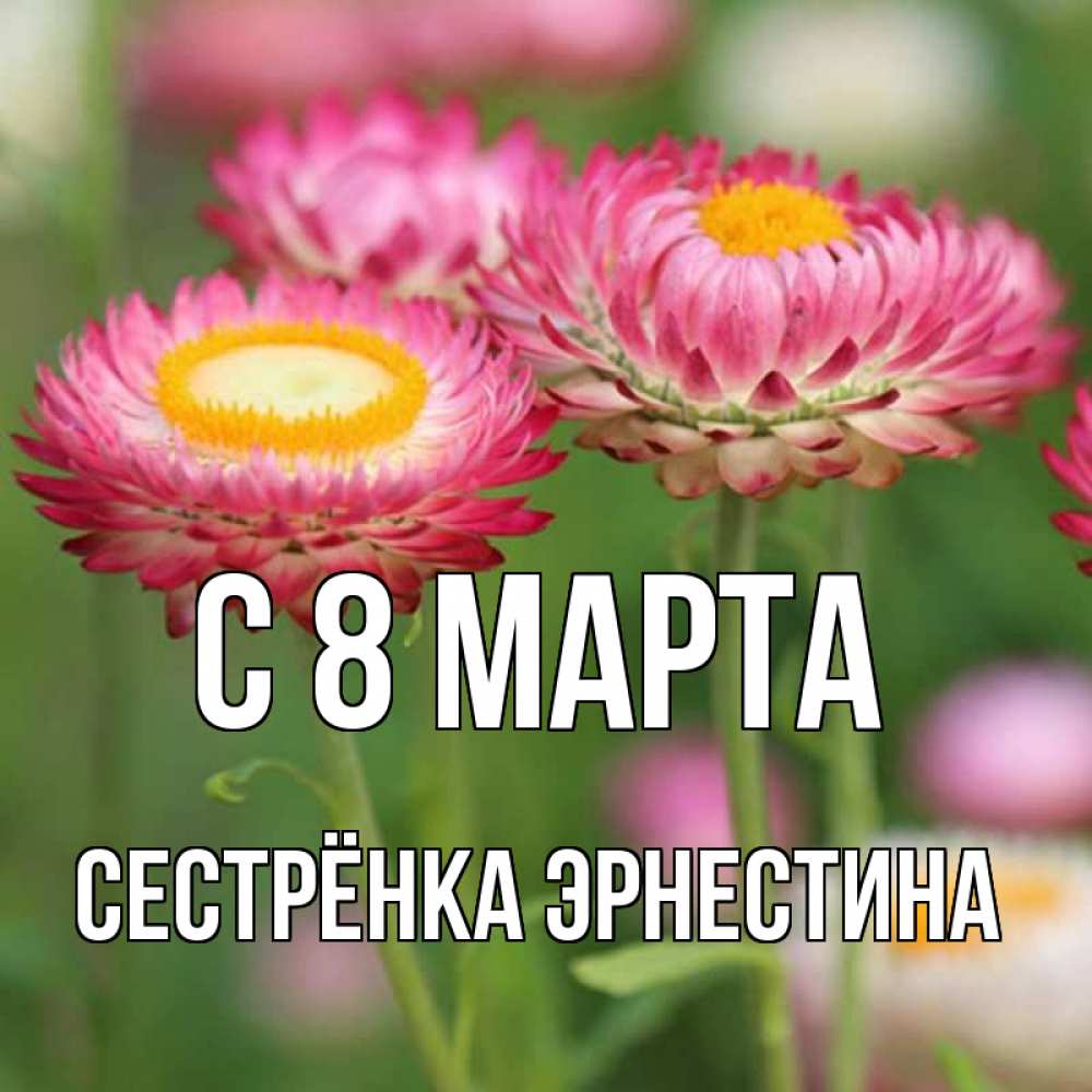 Открытка на каждый день с именем, Сестрёнка-Эрнестина С 8 МАРТА подарок на международный женский день Прикольная открытка с пожеланием онлайн скачать бесплатно 