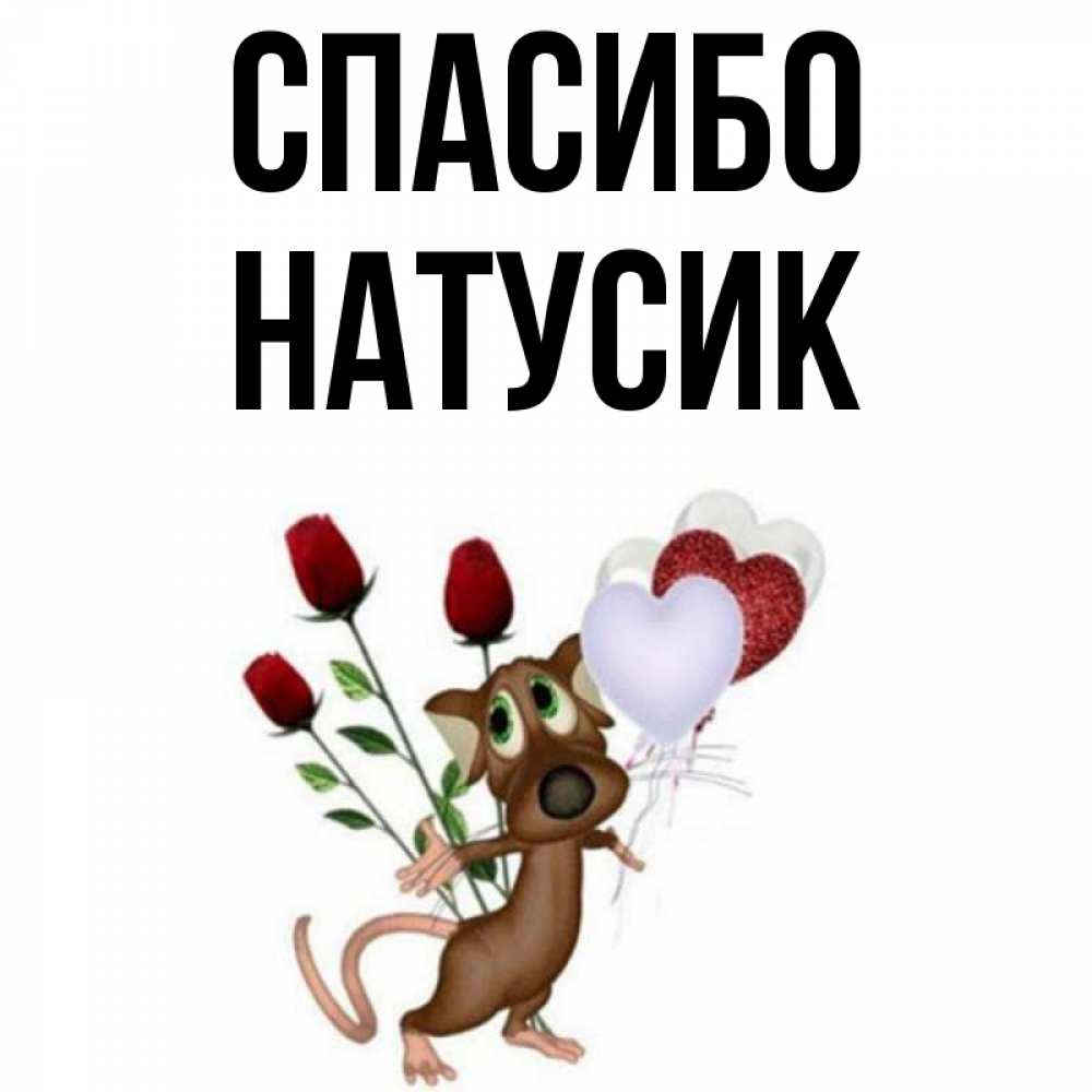 Привет натусик картинки прикольные