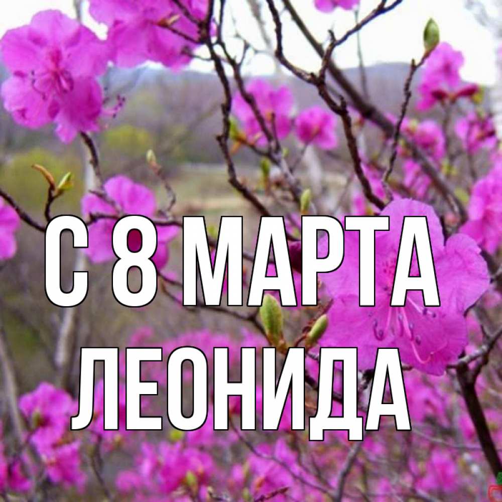 Картинка С 8 марта, Леонида