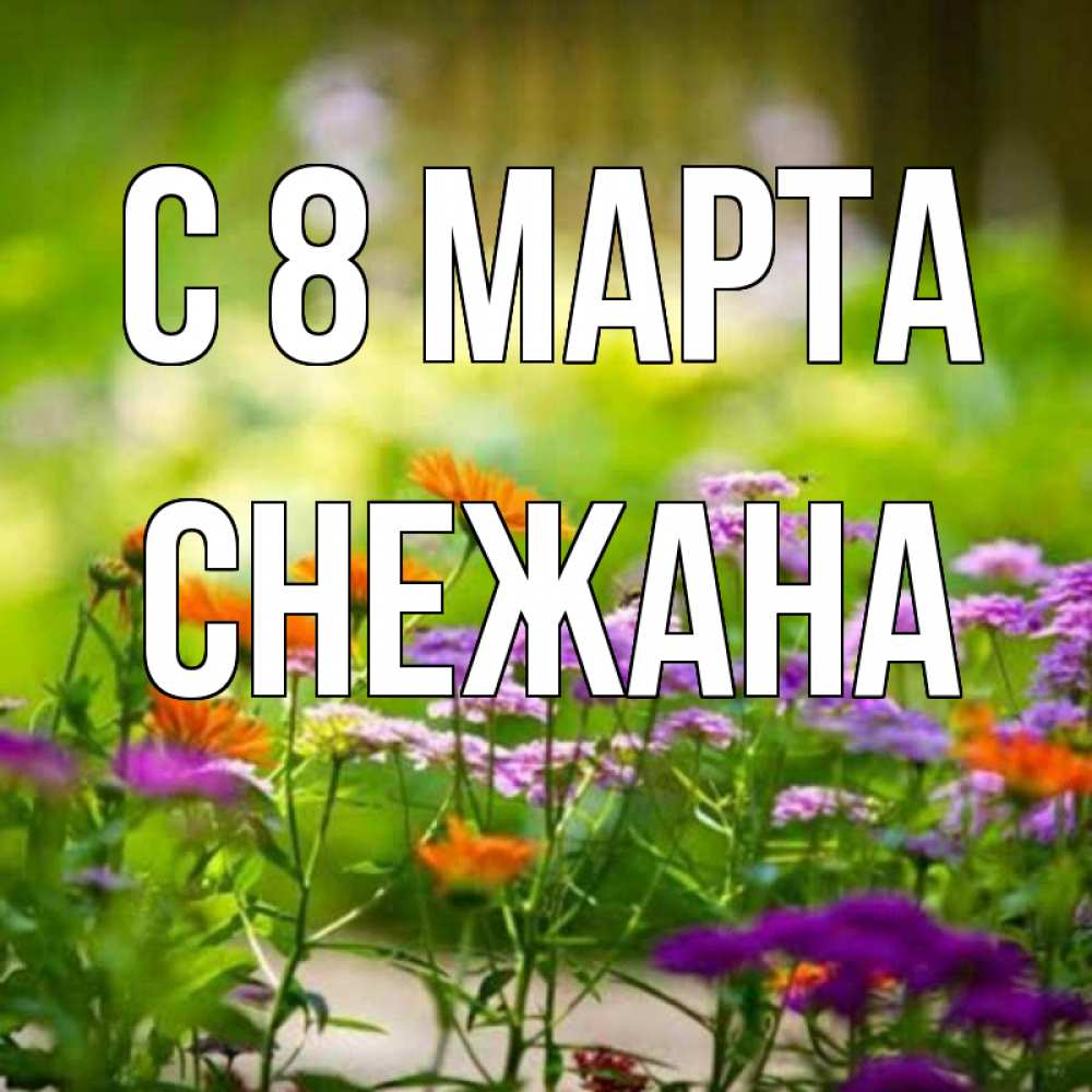 Открытка на каждый день с именем, Снежана С 8 марта цветы Прикольная открытка с пожеланием онлайн скачать бесплатно 