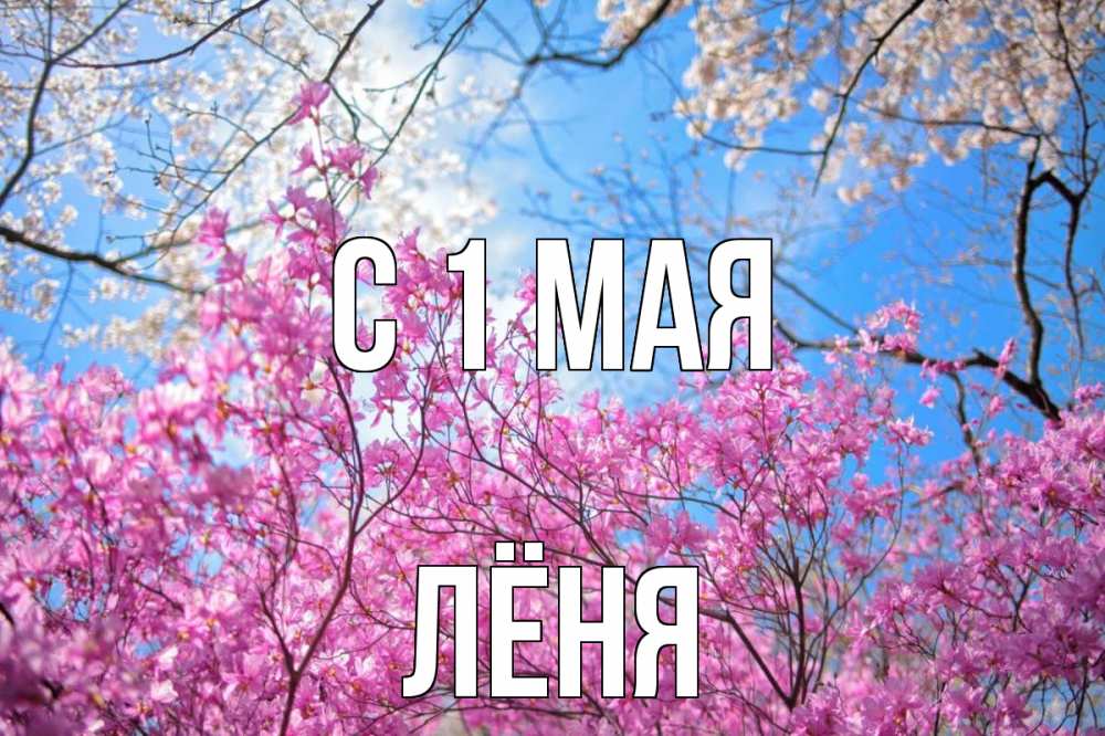 Мой май картинки