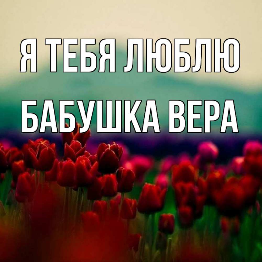 Открытка на каждый день с именем, Бабушка-Вера Я тебя люблю тюльпаны 4 Прикольная открытка с пожеланием онлайн скачать бесплатно 