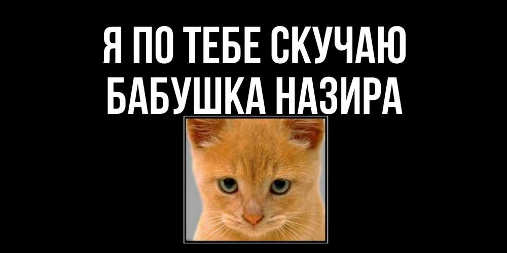 Открытка на каждый день с именем, Бабушка-Назира Я по тебе скучаю открытки рыжий котенок скучает по тебе Прикольная открытка с пожеланием онлайн скачать бесплатно 