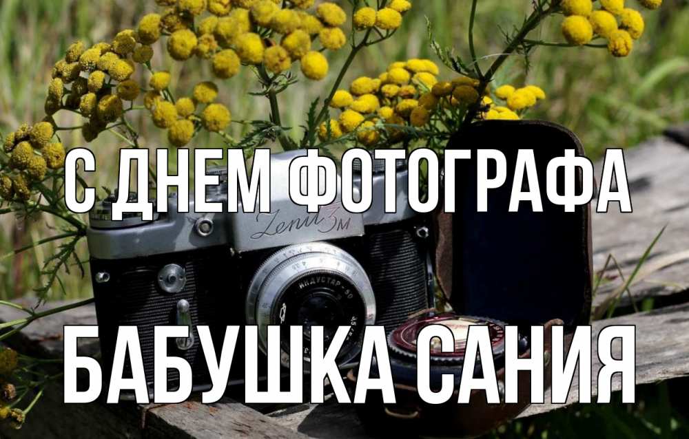 Открытка на каждый день с именем, Бабушка-Сания С днем фотографа с днем фотографа Прикольная открытка с пожеланием онлайн скачать бесплатно 