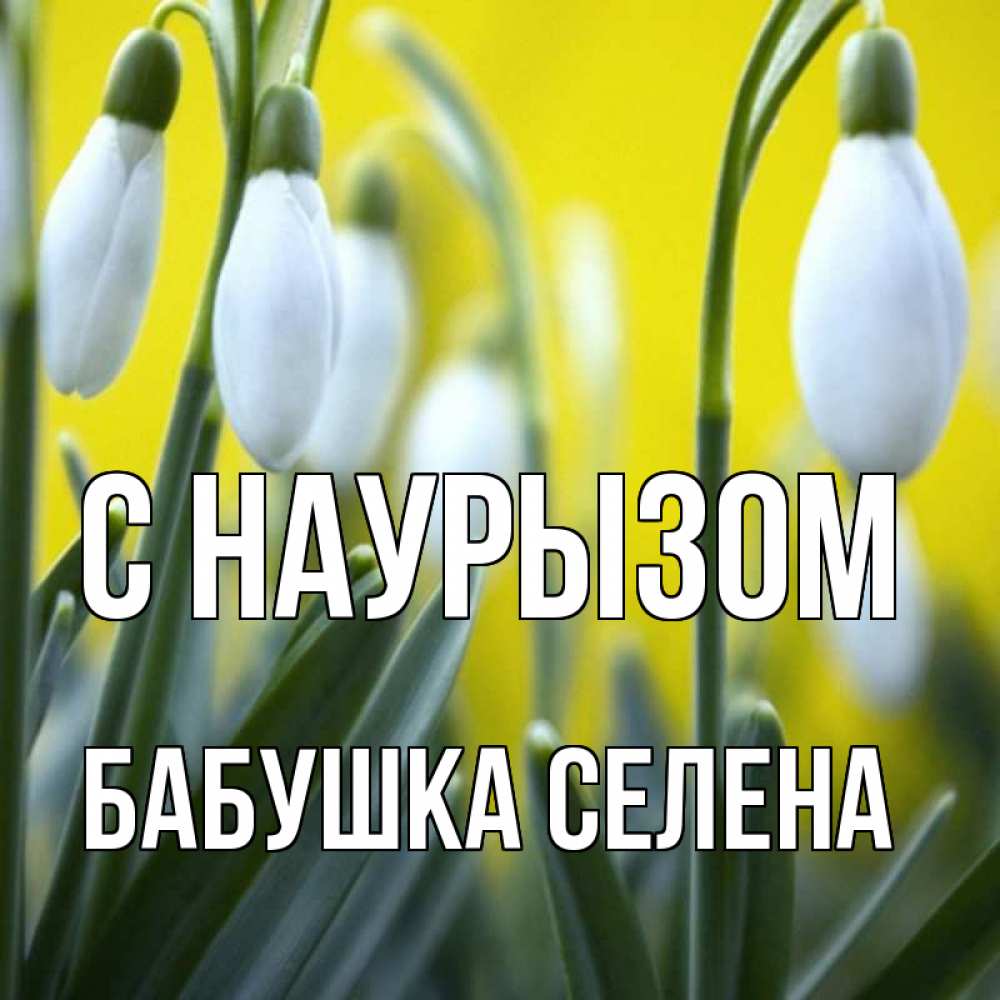 Открытка на каждый день с именем, Бабушка-Селена С наурызом весенние цветы Прикольная открытка с пожеланием онлайн скачать бесплатно 
