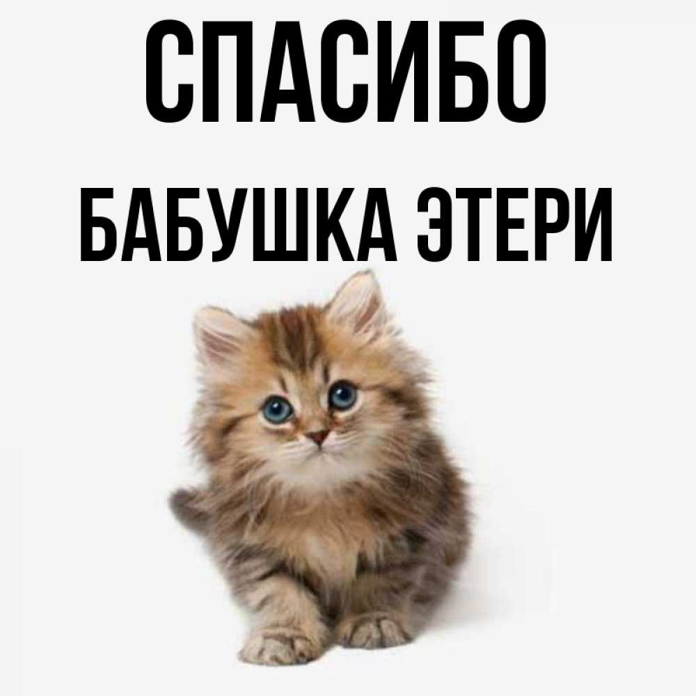 Открытка на каждый день с именем, Бабушка-Этери Спасибо пушистый котик Прикольная открытка с пожеланием онлайн скачать бесплатно 