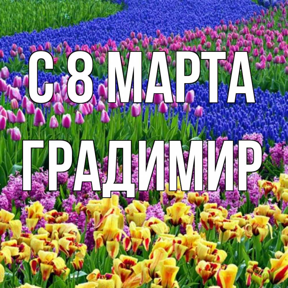 Открытка на каждый день с именем, Градимир С 8 МАРТА цветы Прикольная открытка с пожеланием онлайн скачать бесплатно 