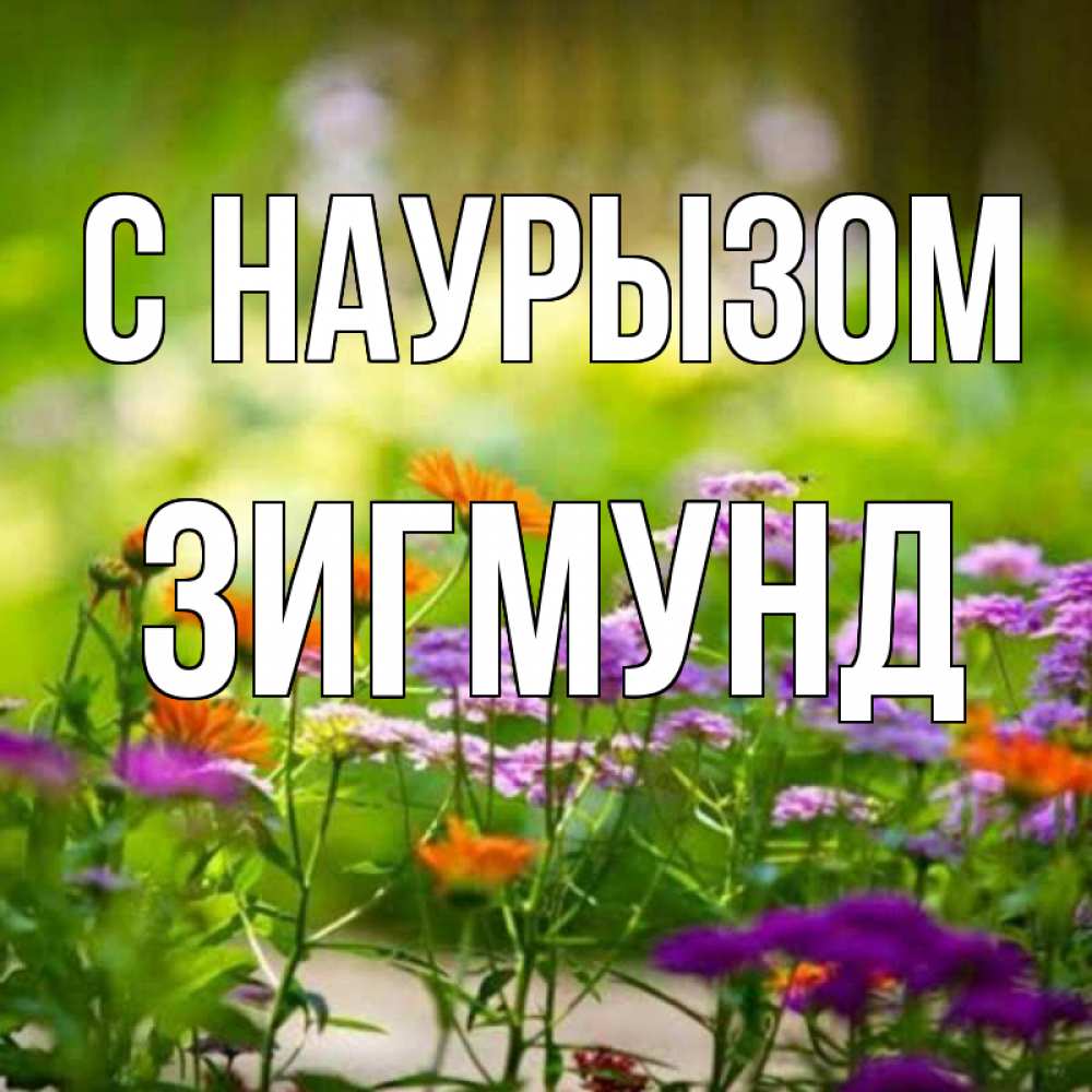 Открытка на каждый день с именем, Зигмунд С наурызом цветы Прикольная открытка с пожеланием онлайн скачать бесплатно 