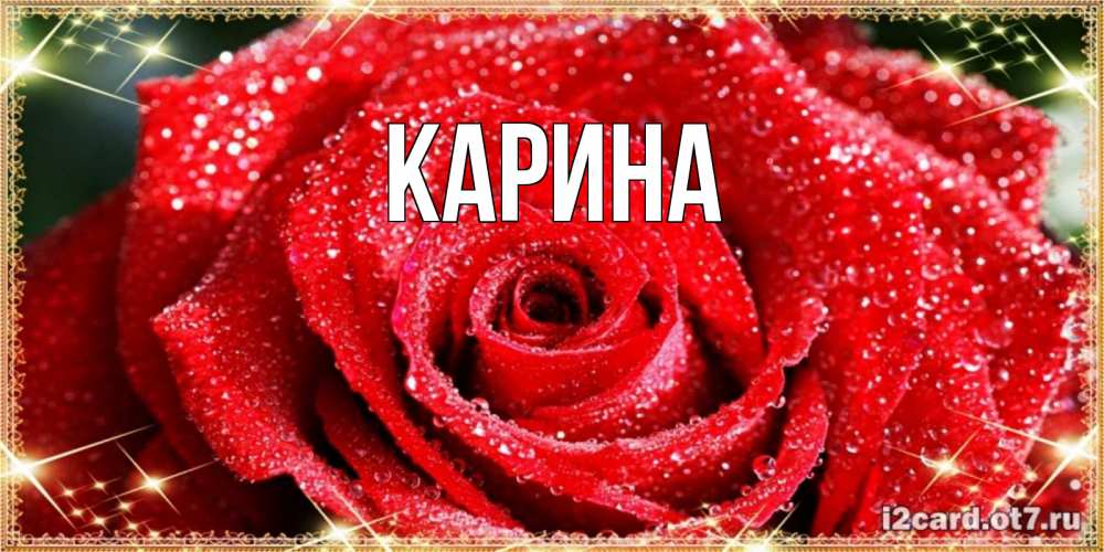 Открытка на каждый день с именем, Карина Главная роса и роза. открытка с красивой розой Прикольная открытка с пожеланием онлайн скачать бесплатно 