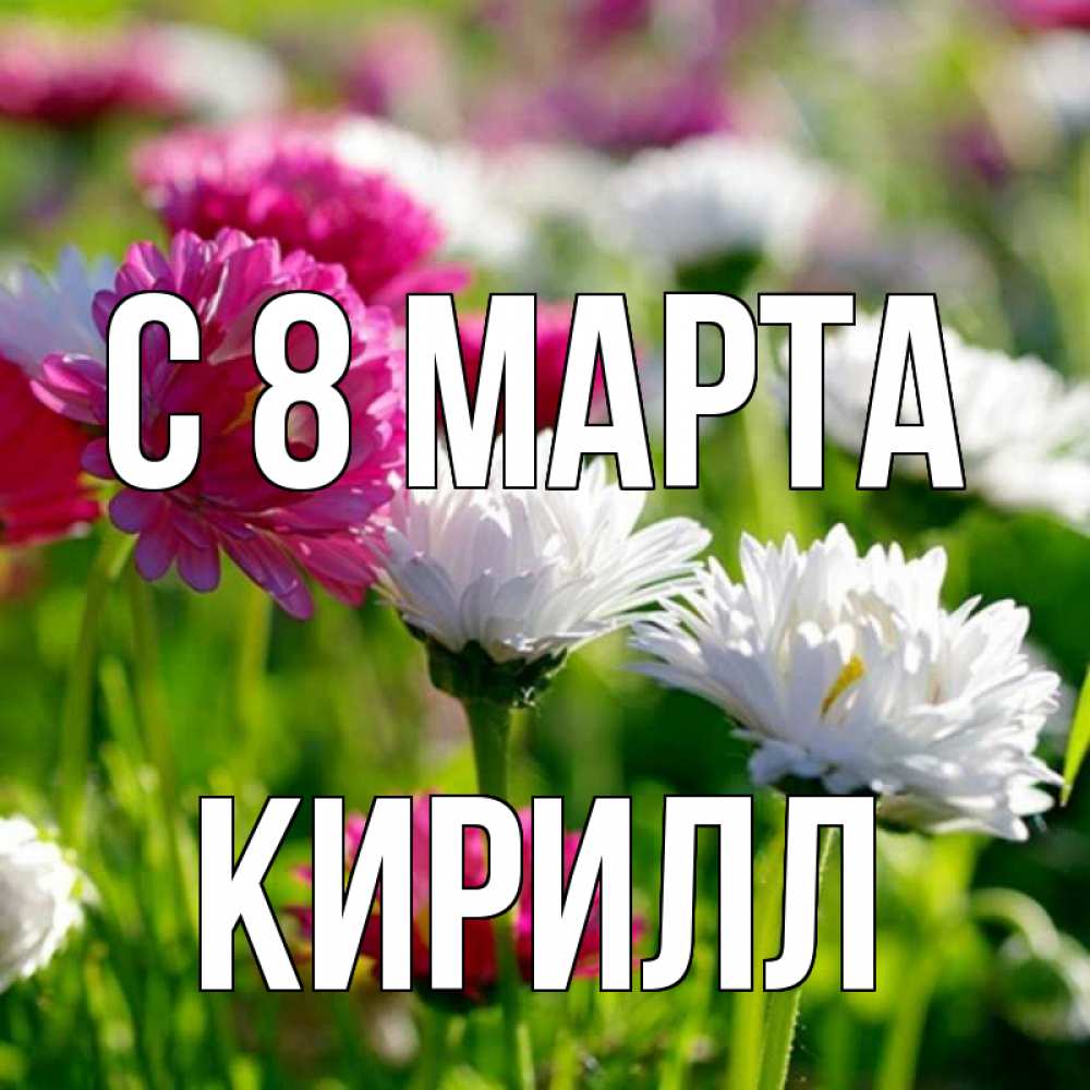 Открытка на каждый день с именем, Кирилл С 8 МАРТА международный женский день 1 Прикольная открытка с пожеланием онлайн скачать бесплатно 