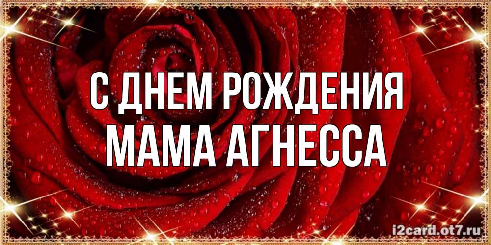 Открытка на каждый день с именем, Мама-Агнесса С днем рождения роса на розе блестящая в лучах солнца Прикольная открытка с пожеланием онлайн скачать бесплатно 