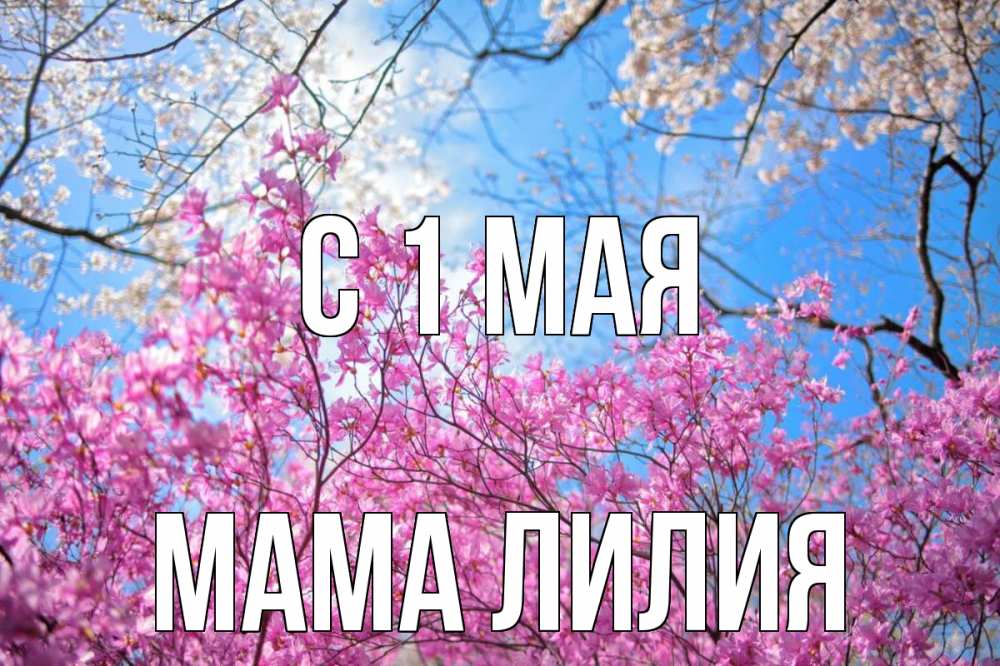 Открытка на каждый день с именем, Мама-Лилия С 1 мая С 1 мая Прикольная открытка с пожеланием онлайн скачать бесплатно 