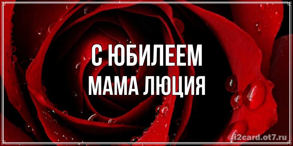 Открытка на каждый день с именем, Мама-Люция С юбилеем крупная бордовая роза Прикольная открытка с пожеланием онлайн скачать бесплатно 