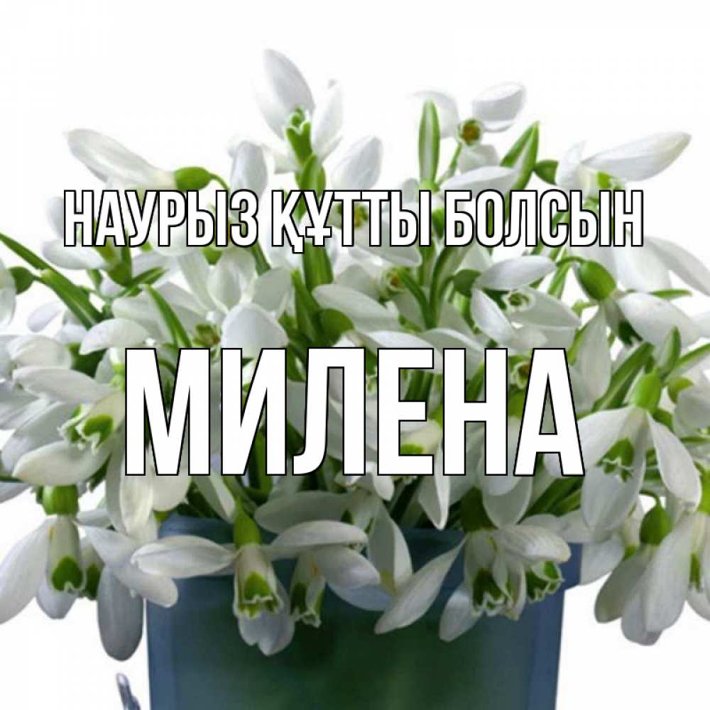 Открытка на каждый день с именем, Милена Наурыз құтты болсын цветы к наурызу Прикольная открытка с пожеланием онлайн скачать бесплатно 