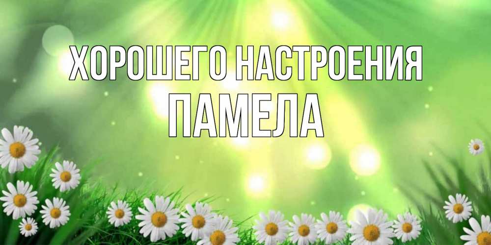 Открытка на каждый день с именем, Памела Хорошего настроения открытка с ромашками и солнечными лучами Прикольная открытка с пожеланием онлайн скачать бесплатно 
