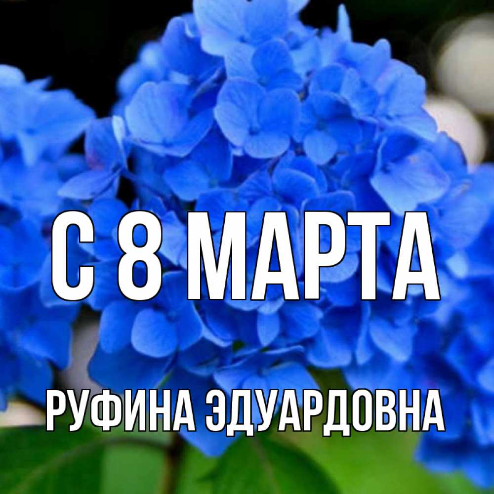 Открытка на каждый день с именем, Руфина-Эдуардовна С 8 марта синие цветы Прикольная открытка с пожеланием онлайн скачать бесплатно 