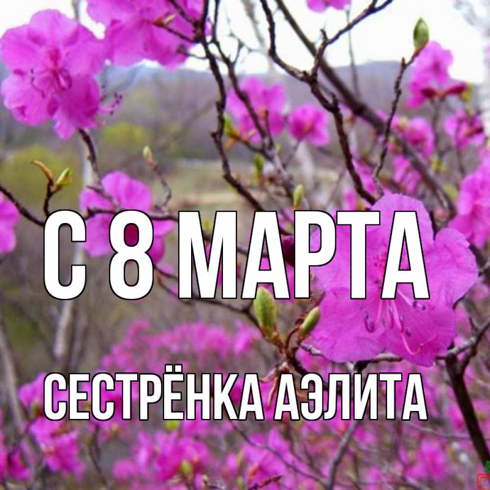 Открытка на каждый день с именем, Сестрёнка-Аэлита С 8 МАРТА международный женский день Прикольная открытка с пожеланием онлайн скачать бесплатно 