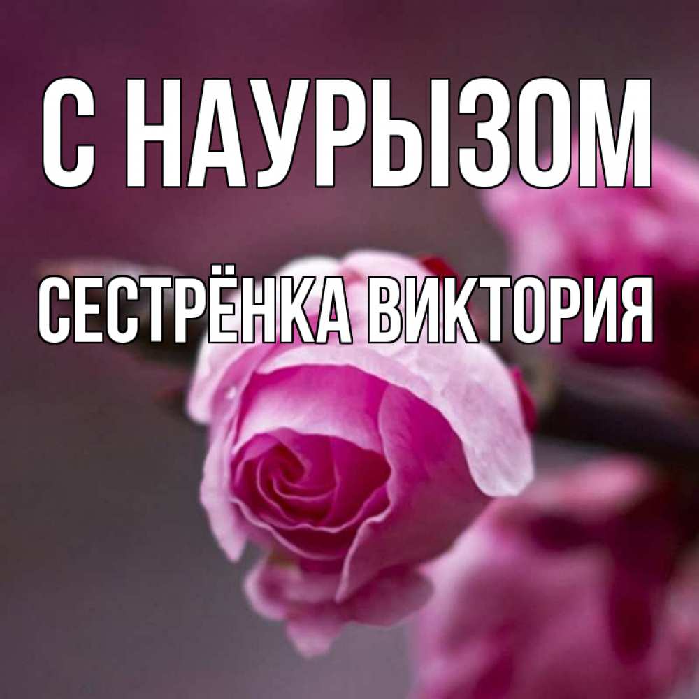 Открытка на каждый день с именем, Сестрёнка-Виктория С наурызом весна Прикольная открытка с пожеланием онлайн скачать бесплатно 